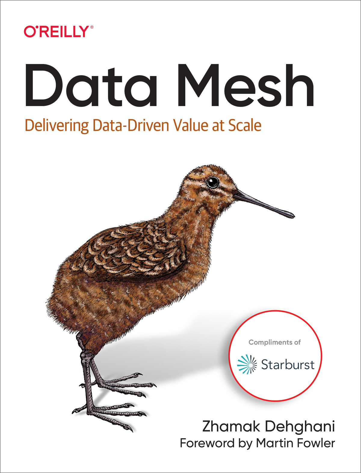 Cover of Data Mesh